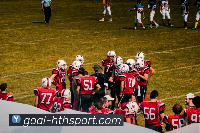 hth体育平台生态图